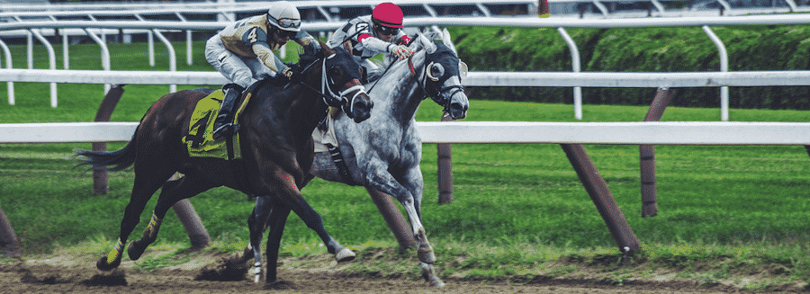 horse racing roulette