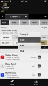 BetMGM Racebook wager pad