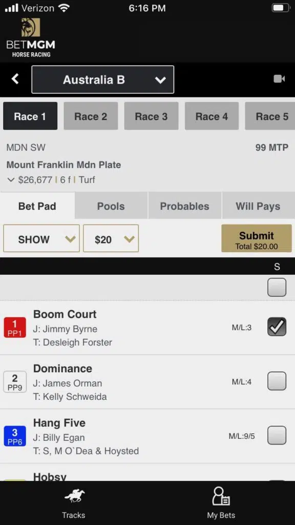 BetMGM horse racing app 2