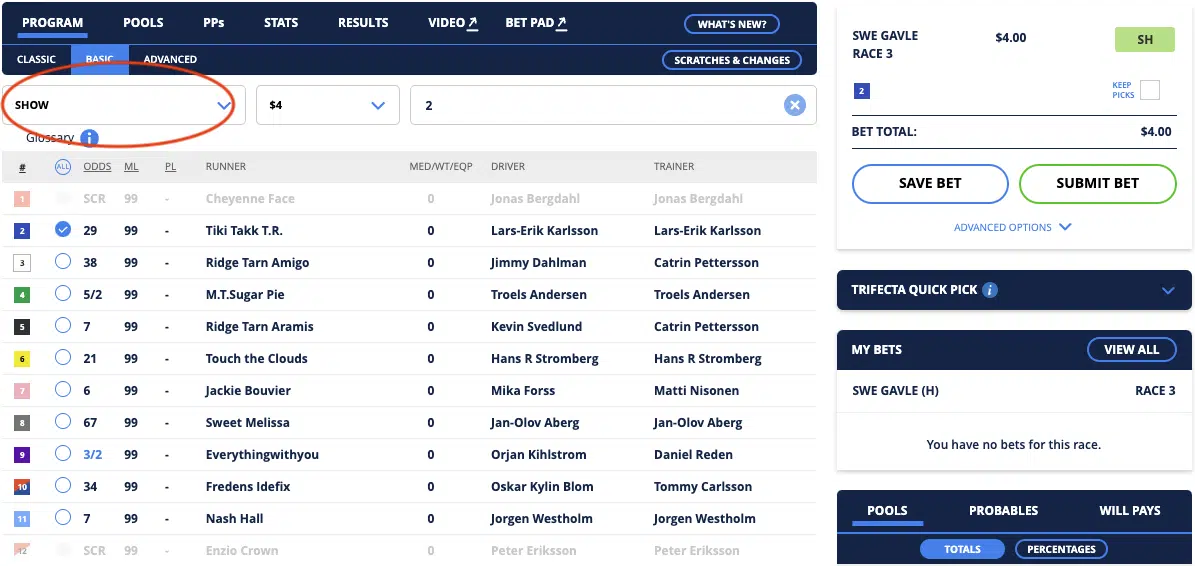 Show Bets In Horse Racing Explained How They Work