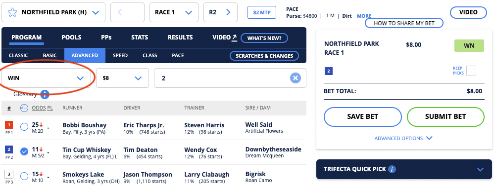 win bet horse racing