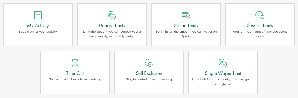 Bet365 responsible gambling tools Available RG tools at Bet365